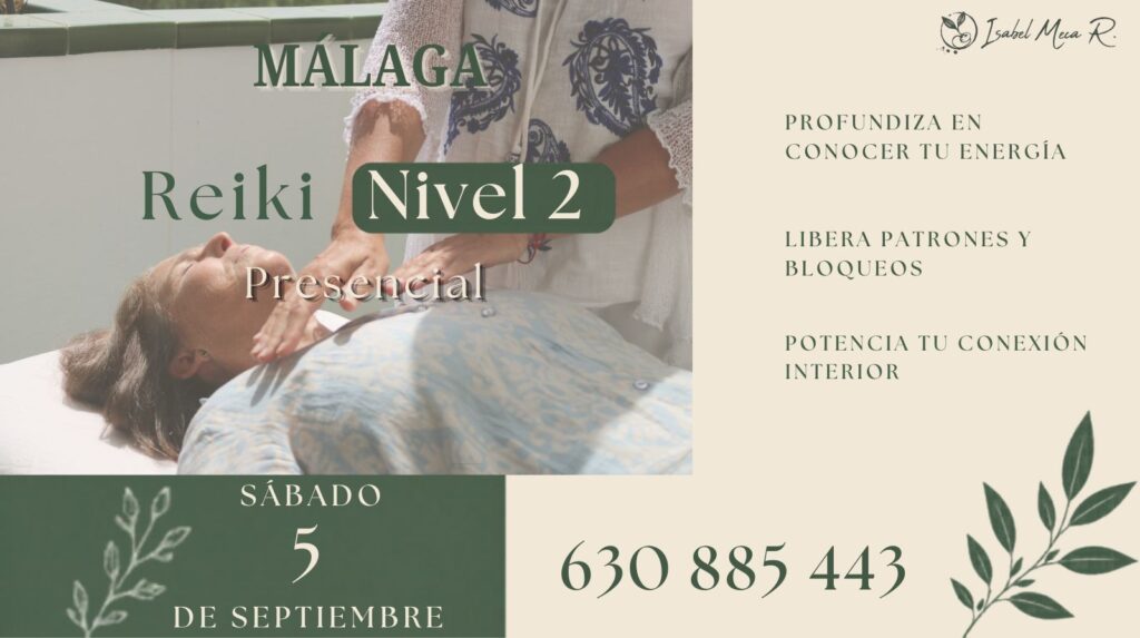 Curso Reiki (31)