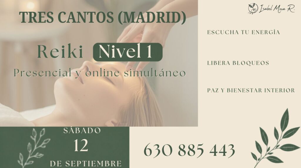 Curso Reiki (33)